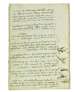 Codex on the Flight of Birds, Folio 7 Verso